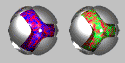ecap.gif